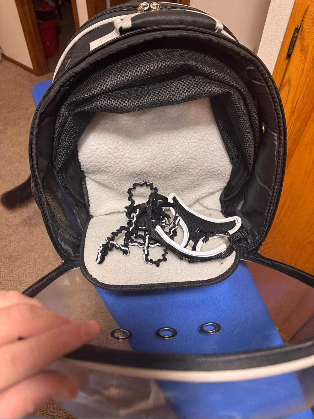 Transparent Bubble Small Pet Carrier and Harness